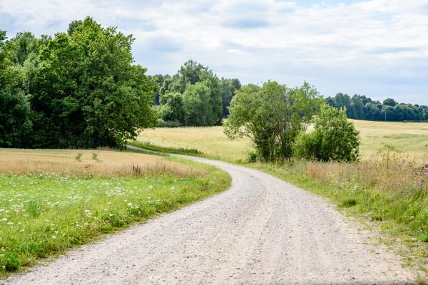 Cost of Stone Driveway Repair in Camas