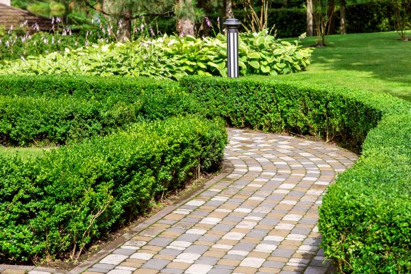 Paved Landscaping in Camas