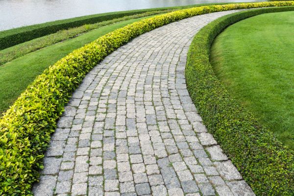 Sidewalk Pavers Installation in Camas