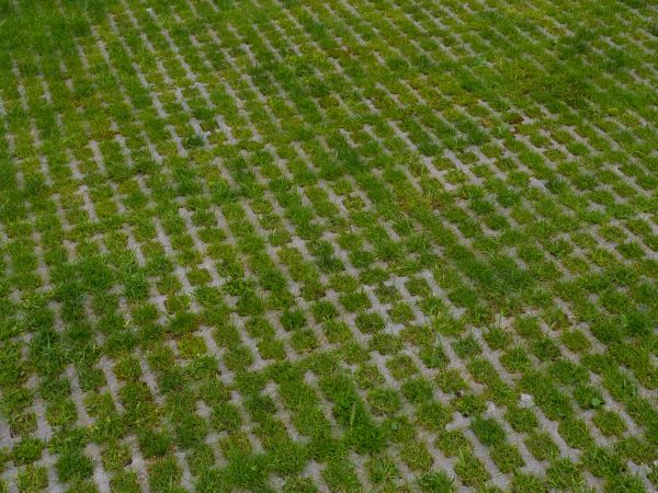 Permeable Pavement Service in Camas